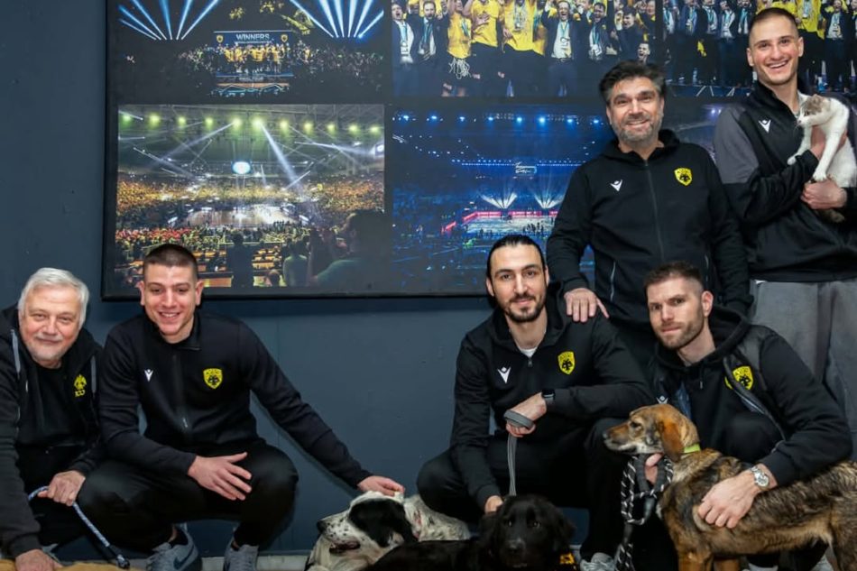 ΑΕΚ BC: Κοινή δράση με τον Δήμο Διονύσου και το Σωματείο «Εθελοντές Αρωγοί Αγίου Στεφάνου» για τα αδέσποτα (ΦΩΤΟ)