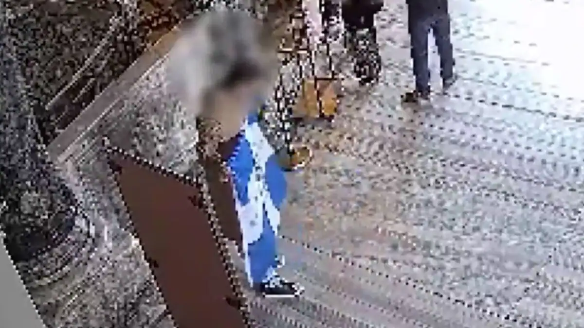 Κωνσταντινούπολη: Συνελήφθησαν δύο Έλληνες τουρίστες που σήκωσαν σημαία με τον βυζαντινό αετό στην Αγία Σοφιά (VIDEO)