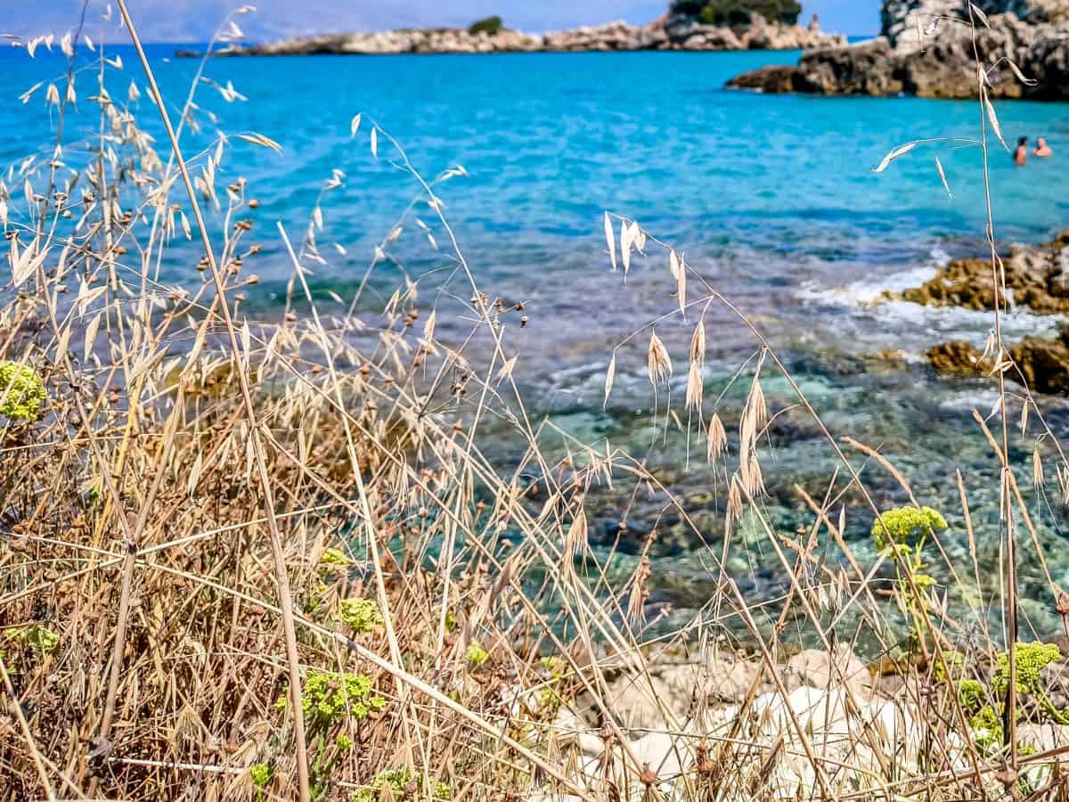 Καιρός: Σε συναγερμό η χώρα λόγω των υψηλών θερμοκρασιών – Κίνδυνος για φωτιές, έκτακτα μέτρα για τους εργαζόμενους!
